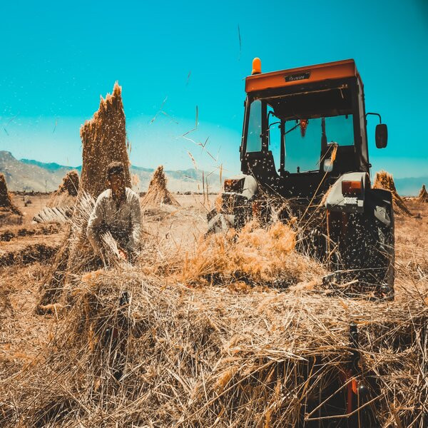 Dozers  on rent