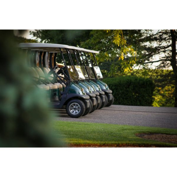 Golf Cart with driver on rent