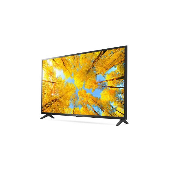 Television 50-55" (Inch) on rent