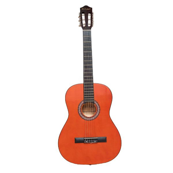 Lyrical Acoustic Guitar on rent